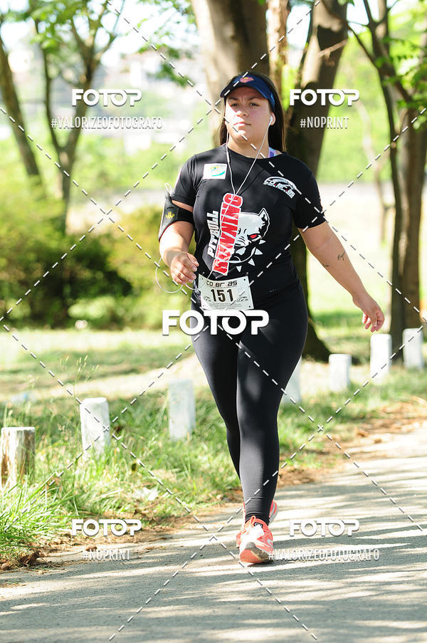 Compra tus fotos del eventoPIT BULL RUNNING En Fotop