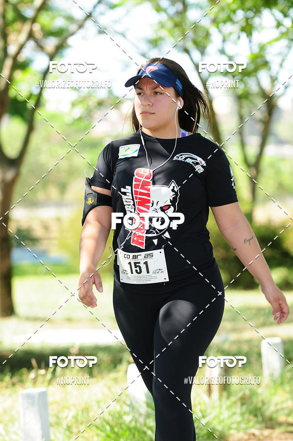 Compra tus fotos del eventoPIT BULL RUNNING En Fotop