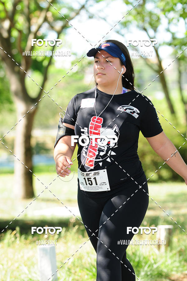 Compra tus fotos del eventoPIT BULL RUNNING En Fotop