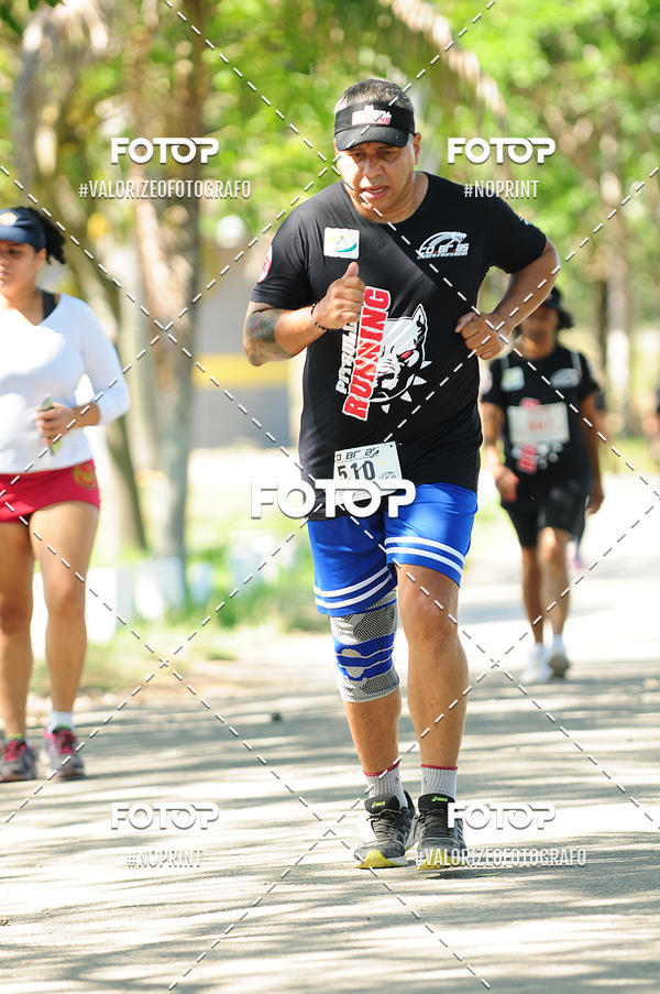 Acquista le foto dell'eventoPIT BULL RUNNING in Fotop