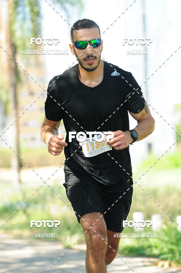 Acquista le foto dell'eventoPIT BULL RUNNING in Fotop