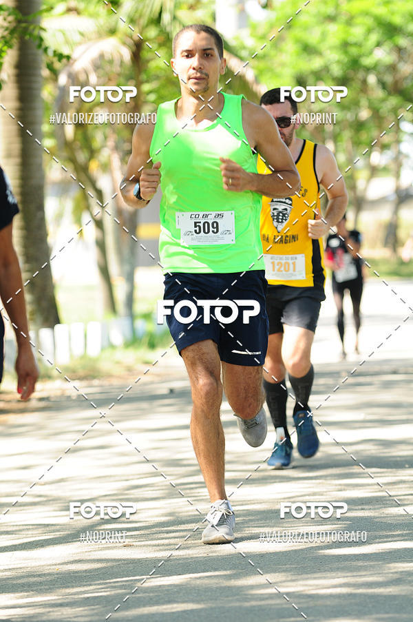 Acquista le foto dell'eventoPIT BULL RUNNING in Fotop