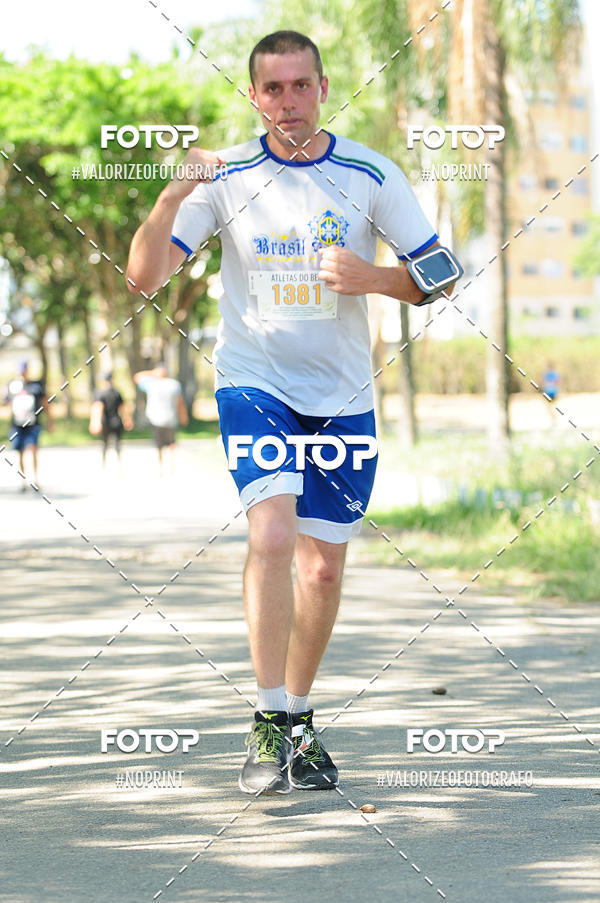 Acquista le foto dell'eventoPIT BULL RUNNING in Fotop