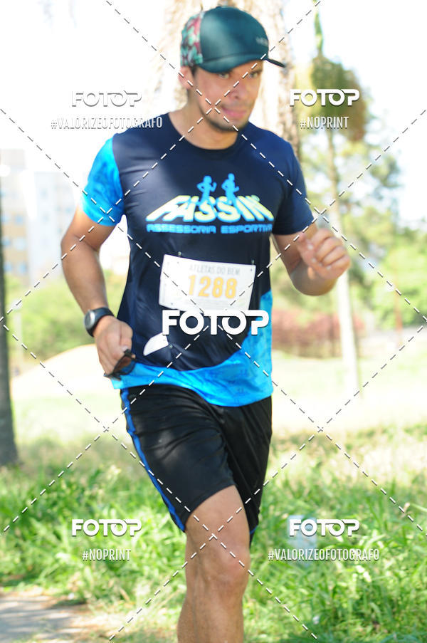 Acquista le foto dell'eventoPIT BULL RUNNING in Fotop