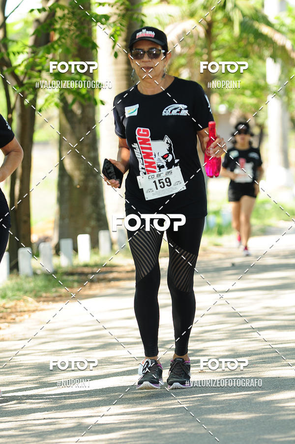 Acquista le foto dell'eventoPIT BULL RUNNING in Fotop