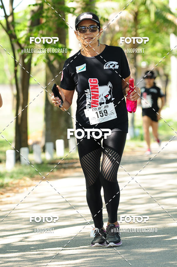 Acquista le foto dell'eventoPIT BULL RUNNING in Fotop