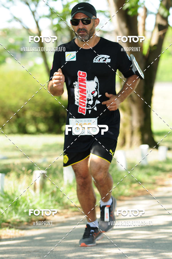 Acquista le foto dell'eventoPIT BULL RUNNING in Fotop