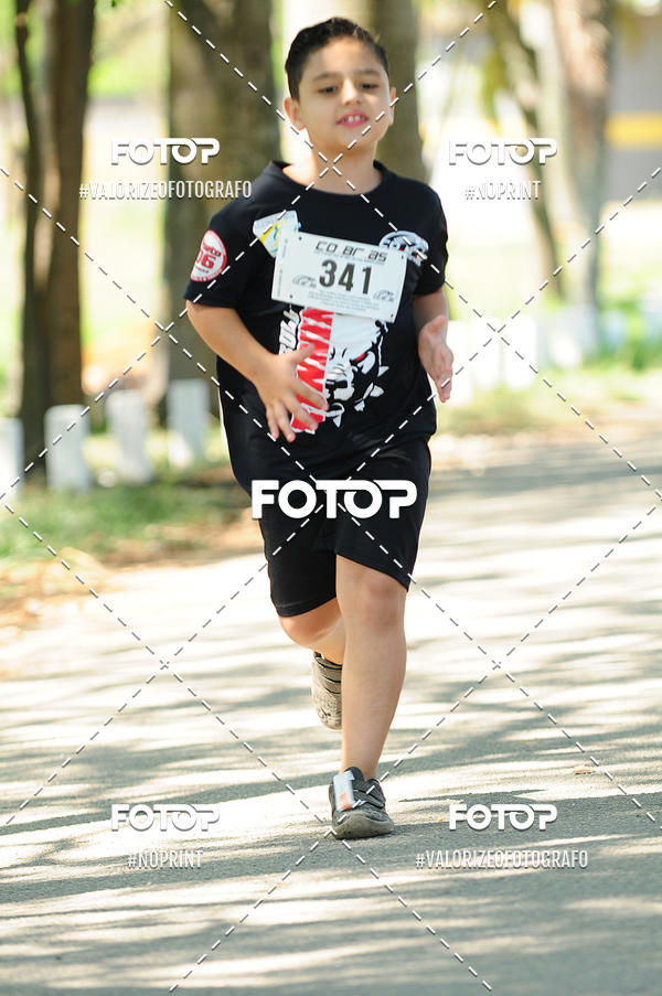 Acquista le foto dell'eventoPIT BULL RUNNING in Fotop