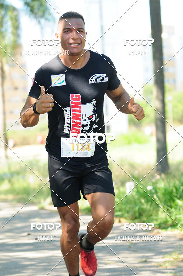 Acquista le foto dell'eventoPIT BULL RUNNING in Fotop