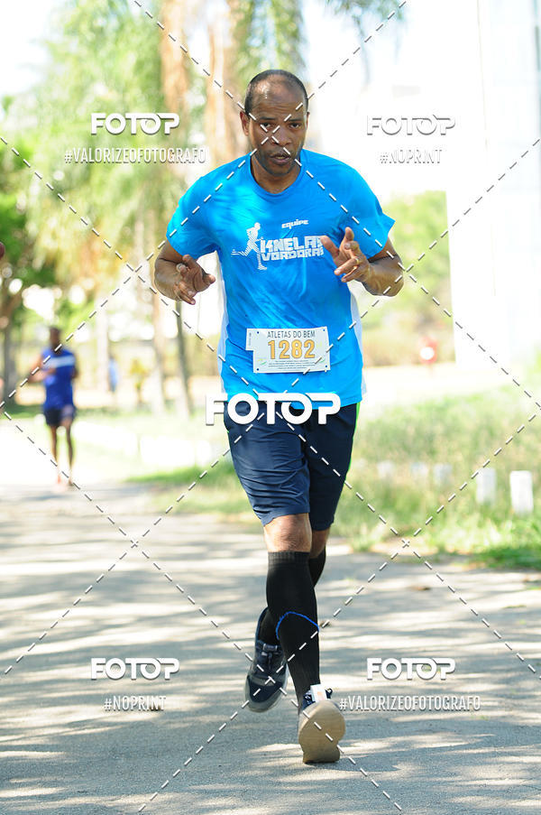 Acquista le foto dell'eventoPIT BULL RUNNING in Fotop