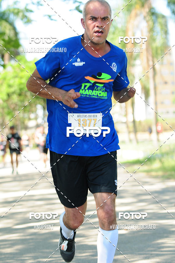 Acquista le foto dell'eventoPIT BULL RUNNING in Fotop