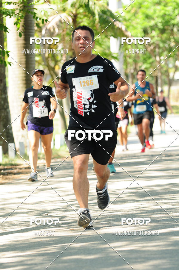 Acquista le foto dell'eventoPIT BULL RUNNING in Fotop