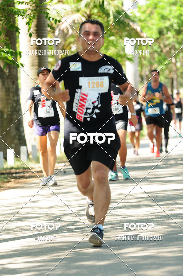 Acquista le foto dell'eventoPIT BULL RUNNING in Fotop