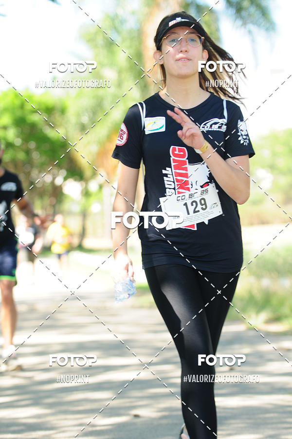 Acquista le foto dell'eventoPIT BULL RUNNING in Fotop