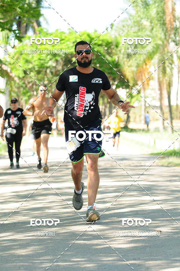 Acquista le foto dell'eventoPIT BULL RUNNING in Fotop