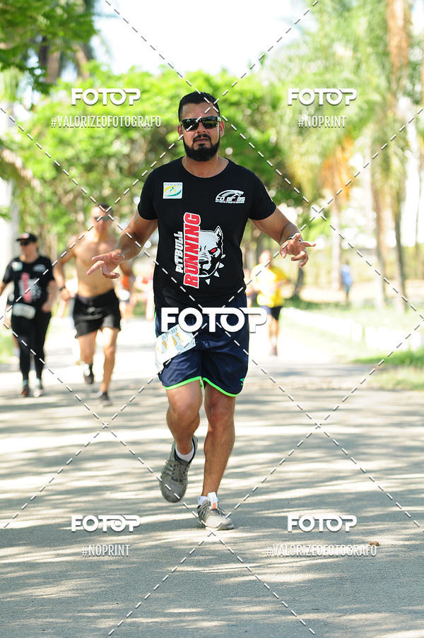 Acquista le foto dell'eventoPIT BULL RUNNING in Fotop