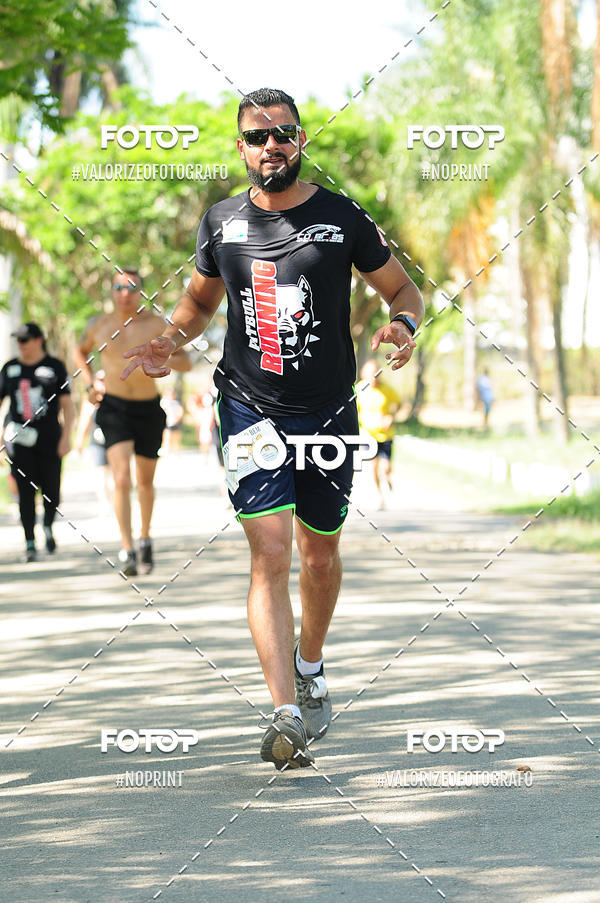 Acquista le foto dell'eventoPIT BULL RUNNING in Fotop