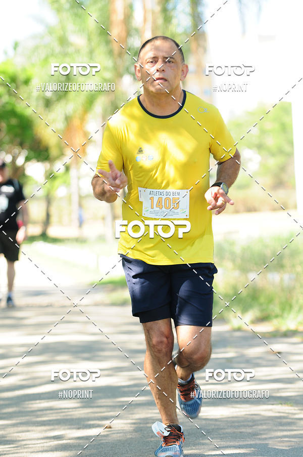 Acquista le foto dell'eventoPIT BULL RUNNING in Fotop