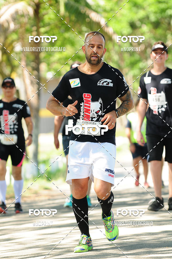 Acquista le foto dell'eventoPIT BULL RUNNING in Fotop