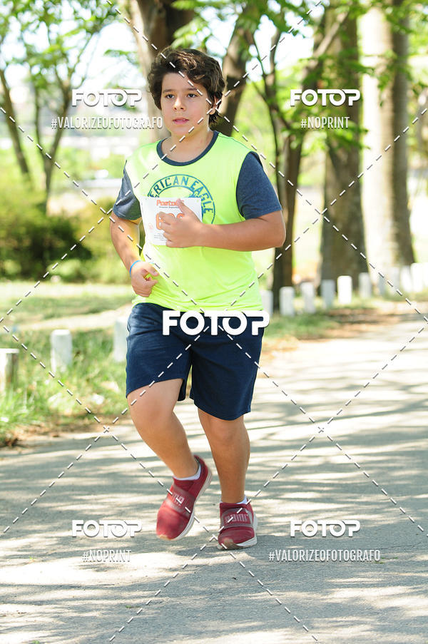 Compra tus fotos del eventoPIT BULL RUNNING En Fotop