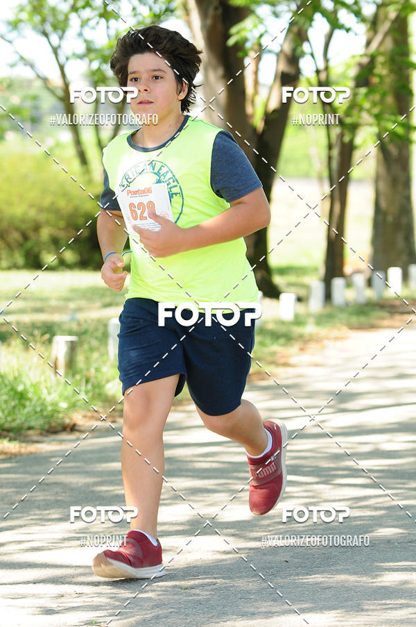 Compra tus fotos del eventoPIT BULL RUNNING En Fotop