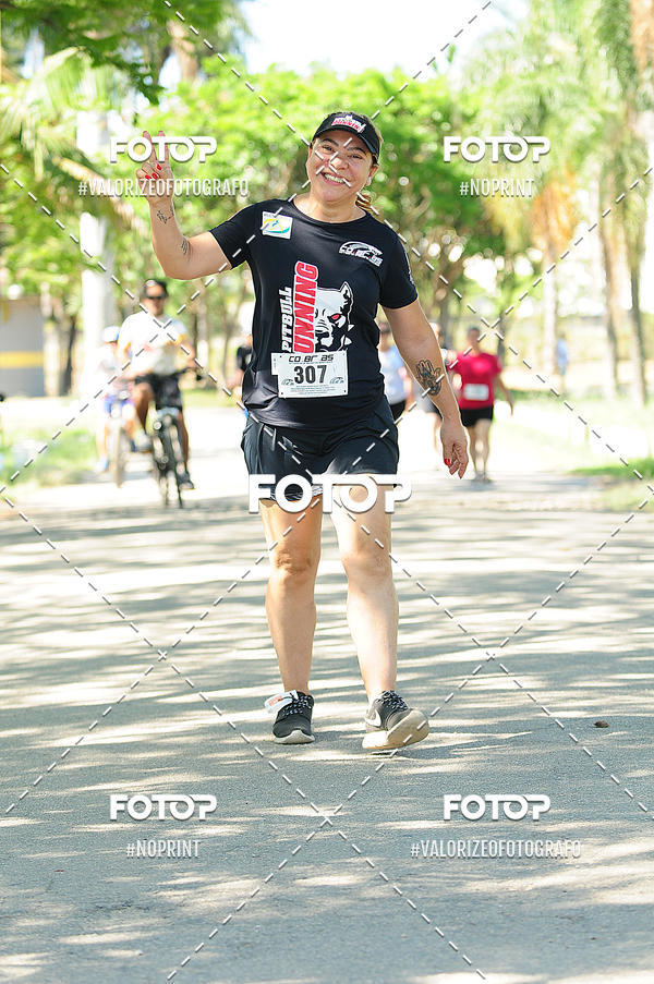 Compra tus fotos del eventoPIT BULL RUNNING En Fotop