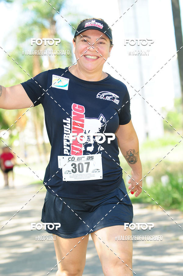 Compre suas fotos do eventoPIT BULL RUNNING no Fotop