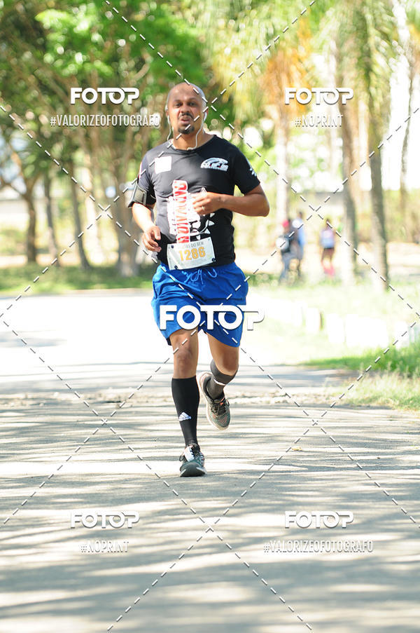 Achetez vos photos de l'vnementPIT BULL RUNNING sur Fotop