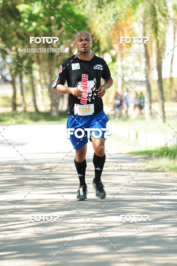 Achetez vos photos de l'vnementPIT BULL RUNNING sur Fotop