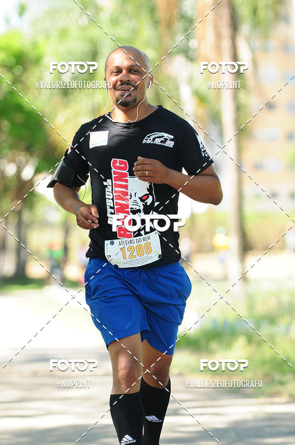 Achetez vos photos de l'vnementPIT BULL RUNNING sur Fotop