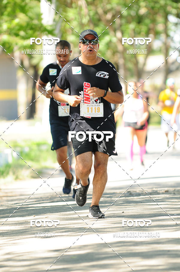 Compra tus fotos del eventoPIT BULL RUNNING En Fotop