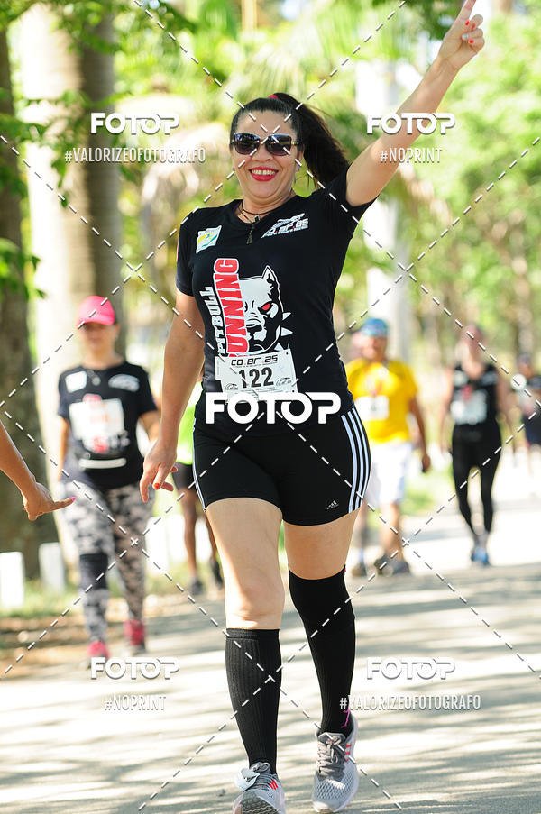 Compra tus fotos del eventoPIT BULL RUNNING En Fotop