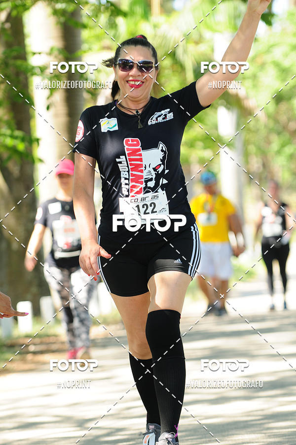 Compra tus fotos del eventoPIT BULL RUNNING En Fotop