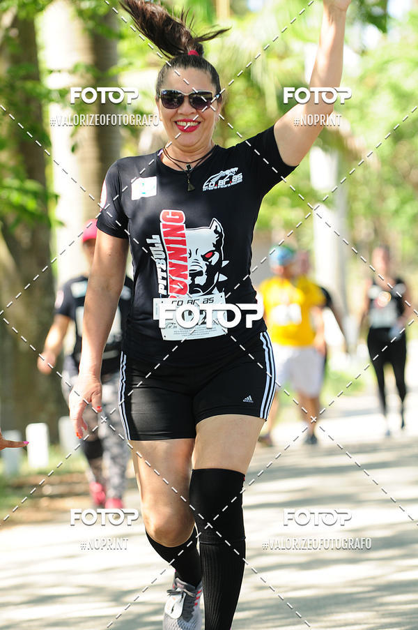 Compra tus fotos del eventoPIT BULL RUNNING En Fotop