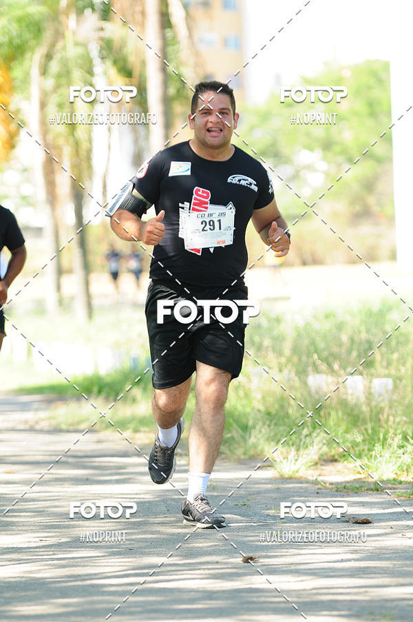 Compra tus fotos del eventoPIT BULL RUNNING En Fotop