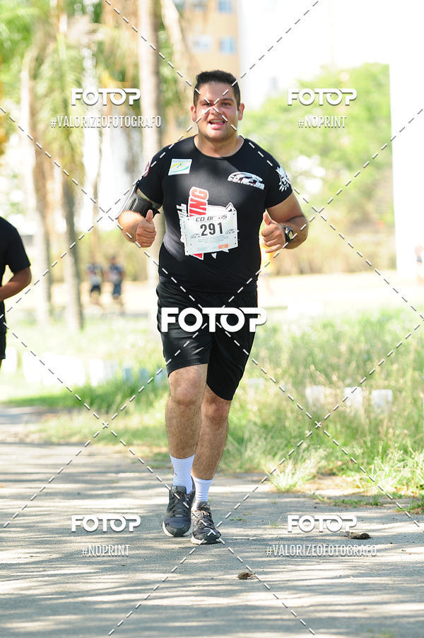 Compra tus fotos del eventoPIT BULL RUNNING En Fotop