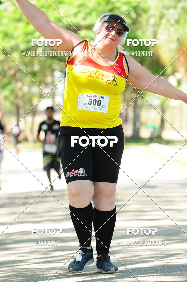 Compra tus fotos del eventoPIT BULL RUNNING En Fotop