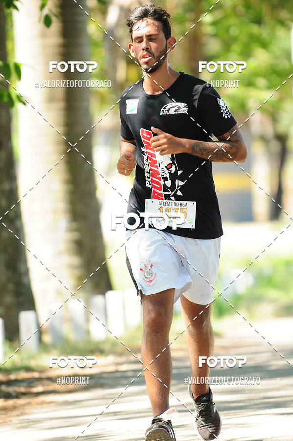 Compra tus fotos del eventoPIT BULL RUNNING En Fotop