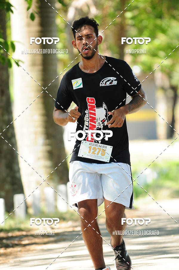 Compra tus fotos del eventoPIT BULL RUNNING En Fotop