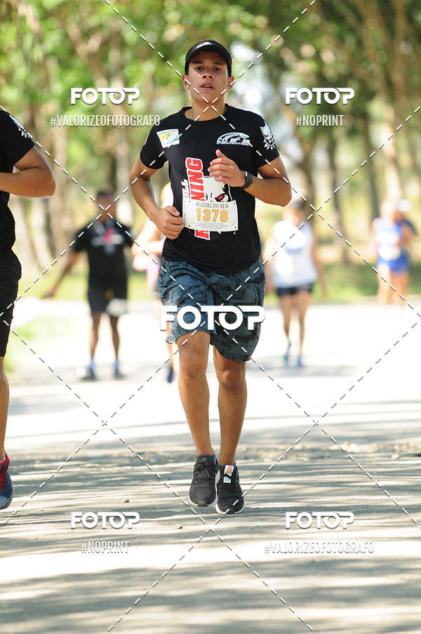 Compra tus fotos del eventoPIT BULL RUNNING En Fotop