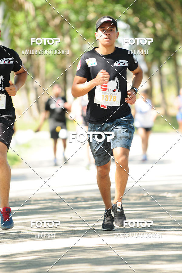 Compra tus fotos del eventoPIT BULL RUNNING En Fotop