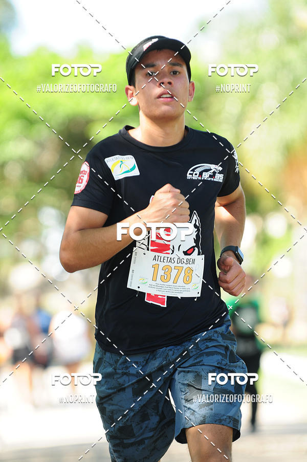 Compra tus fotos del eventoPIT BULL RUNNING En Fotop