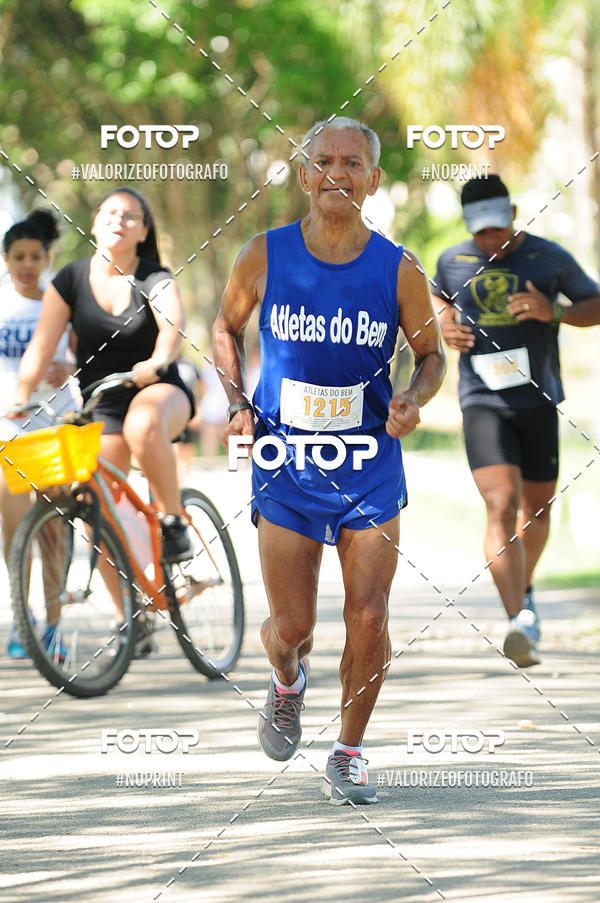 Compra tus fotos del eventoPIT BULL RUNNING En Fotop