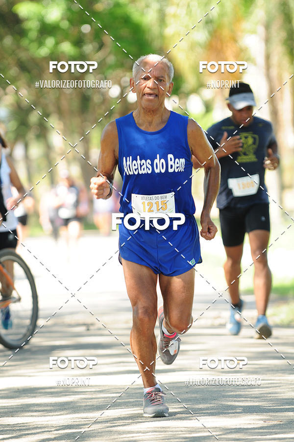 Compra tus fotos del eventoPIT BULL RUNNING En Fotop