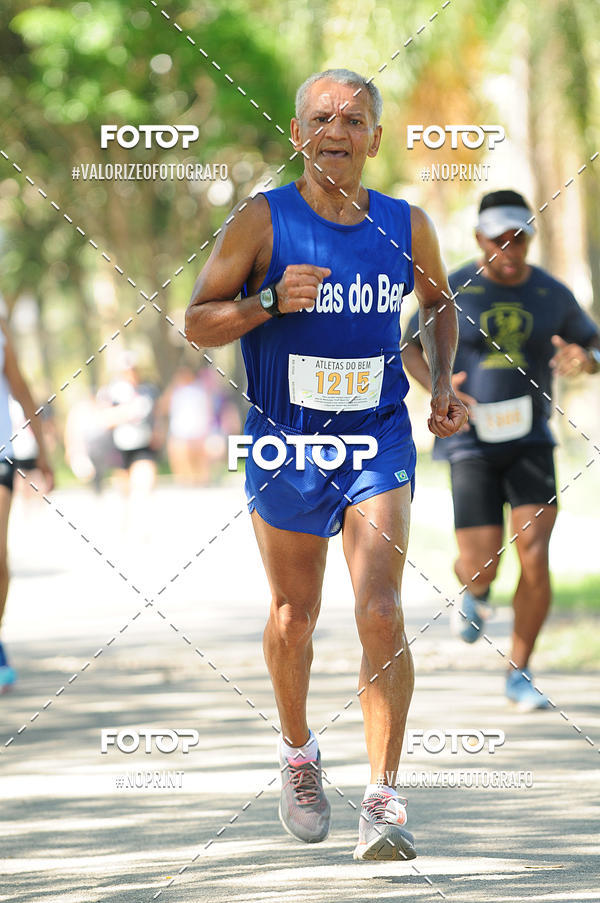 Compra tus fotos del eventoPIT BULL RUNNING En Fotop