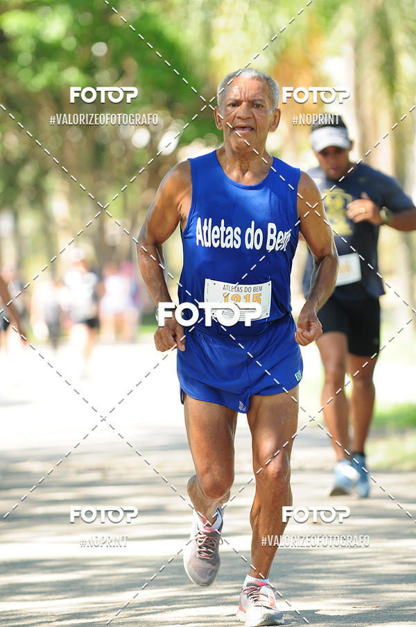 Compra tus fotos del eventoPIT BULL RUNNING En Fotop