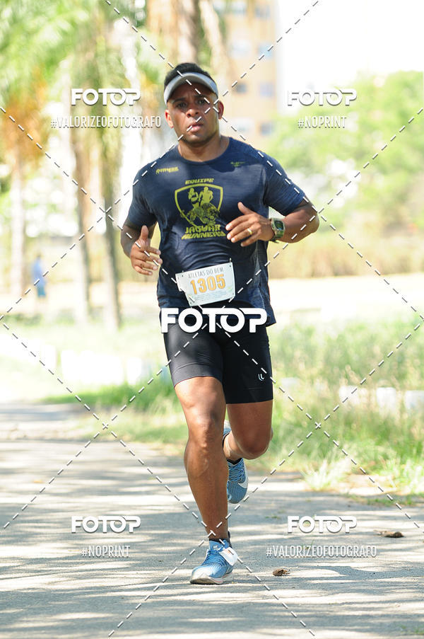 Compra tus fotos del eventoPIT BULL RUNNING En Fotop