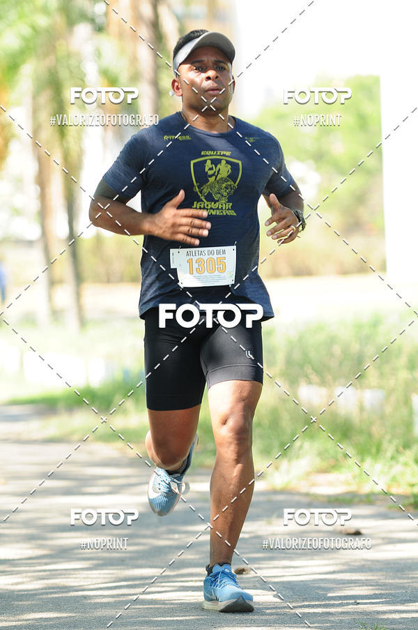 Compra tus fotos del eventoPIT BULL RUNNING En Fotop