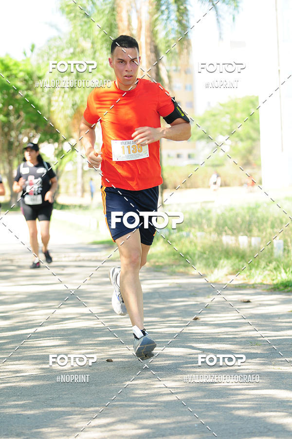 Compre as suas fotos do eventoPIT BULL RUNNING no Fotop