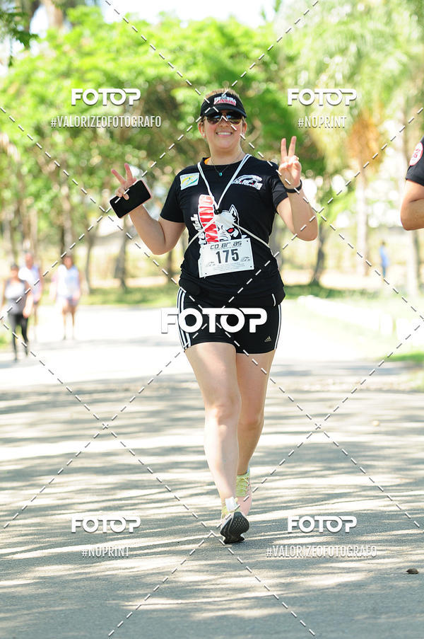 Compre as suas fotos do eventoPIT BULL RUNNING no Fotop